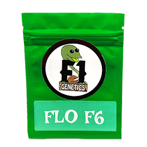 Flo F6