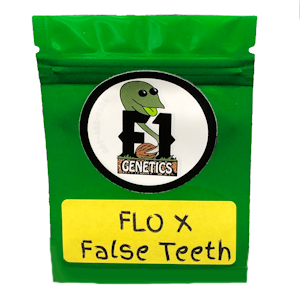 Flo X False Teeth