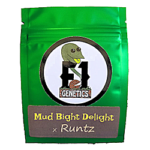 Mud Bight Delight X Runtz