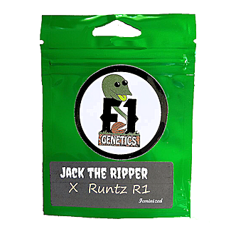 Jack the Ripper X Runtz