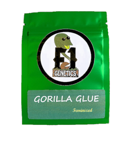 Gorilla Glue S1