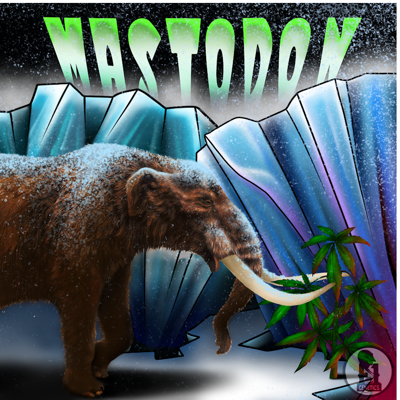 Original Mastodon