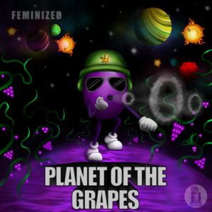 Planet of the Grapes S1