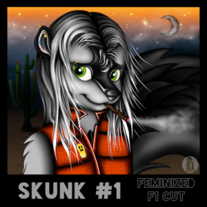 Skunk #1 F1 Cut Feminized
